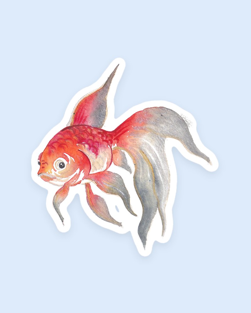 Koi Fish sticker
