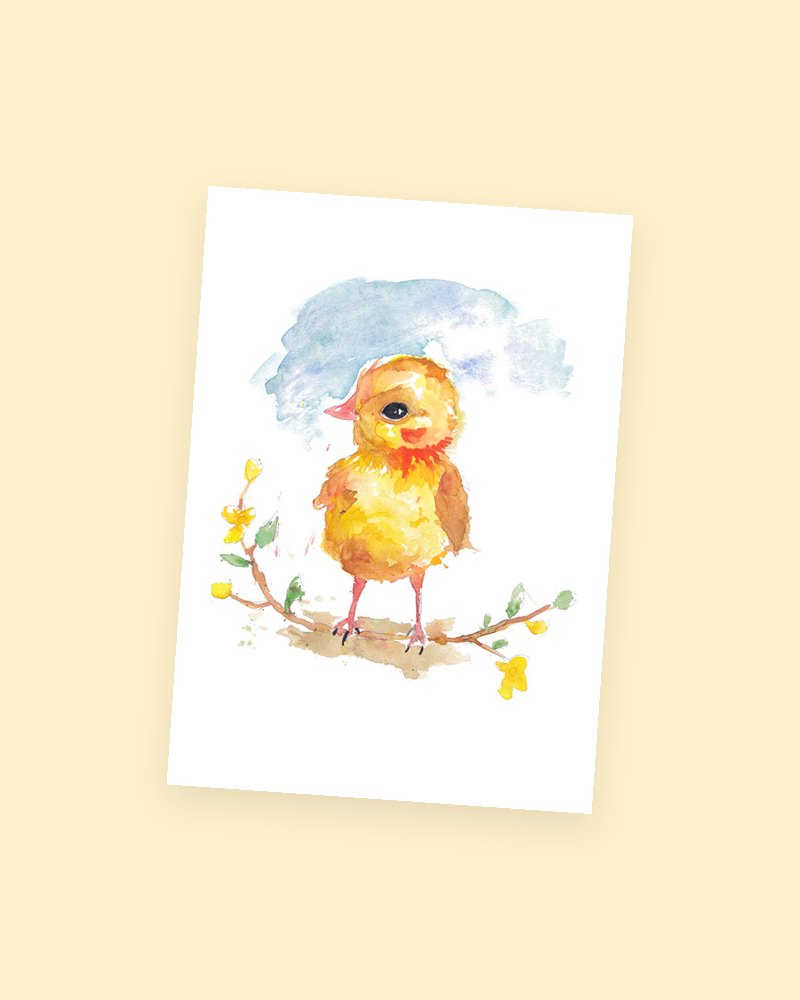 Baby Chick postcard