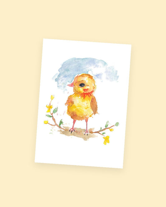 Baby Chick postcard
