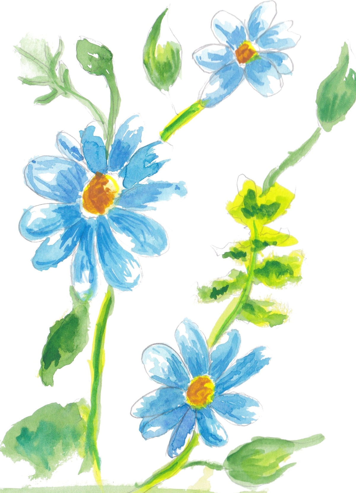 Blue Daisies: Bright blue daisies on curling green stems.
