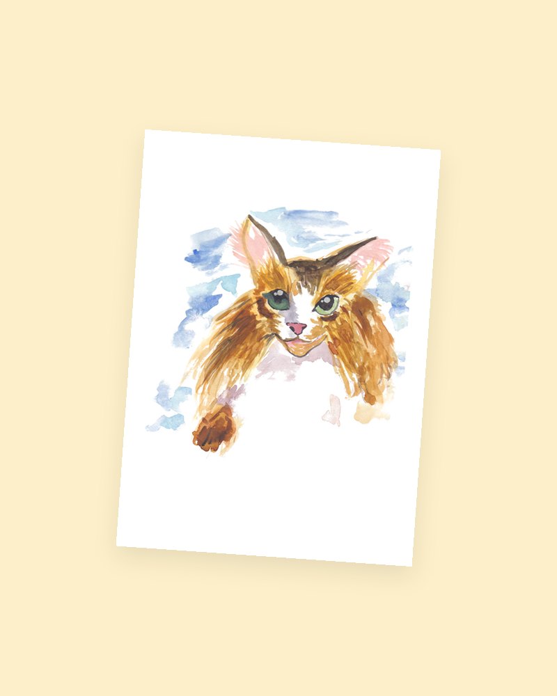 Fluffy Cat postcard