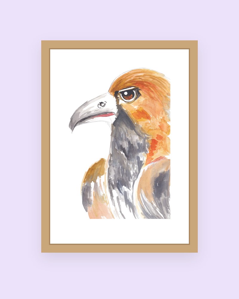 Golden Hawk art print