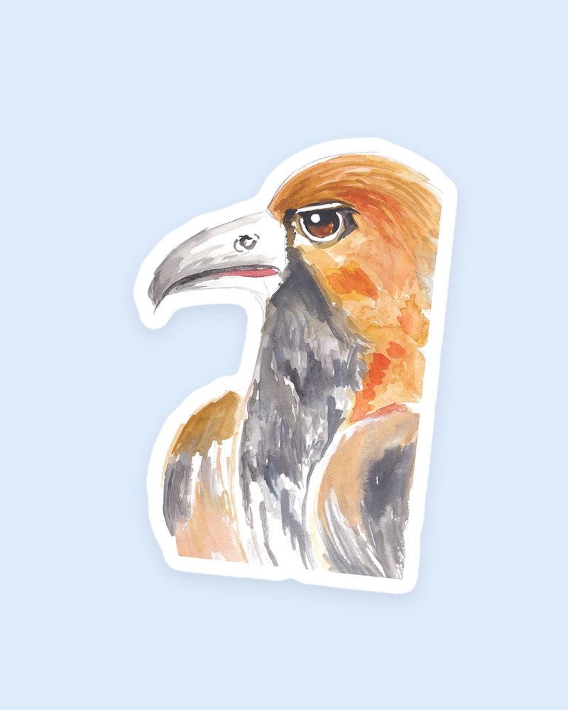 Golden Hawk sticker