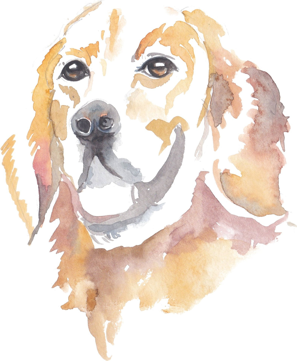 Golden Pup: A golden pup resting its head, painted in warm honey and rose tones.
