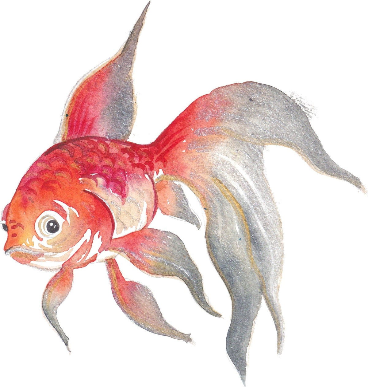 Koi Fish: A red koi with long silver fins, its scales painted one by one.