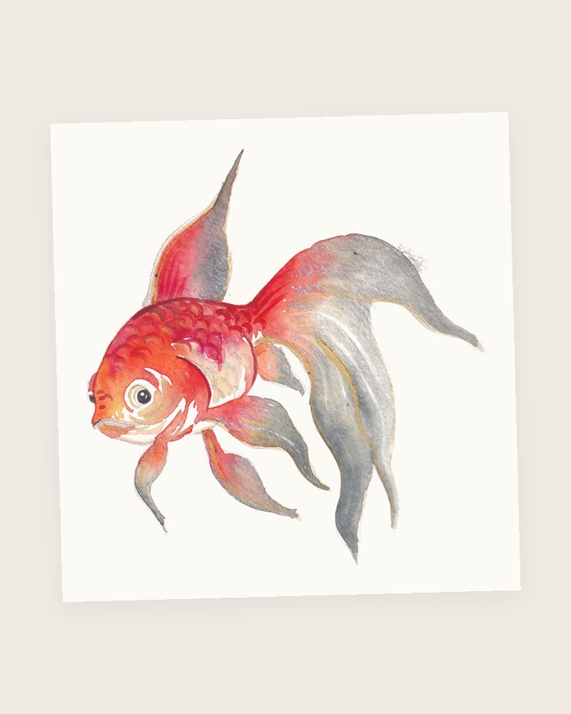 Koi Fish, original painting by Vihaan
