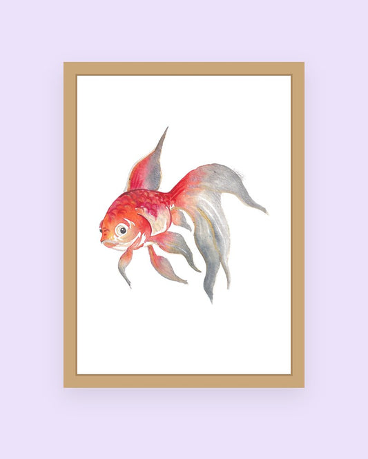 Koi Fish art print