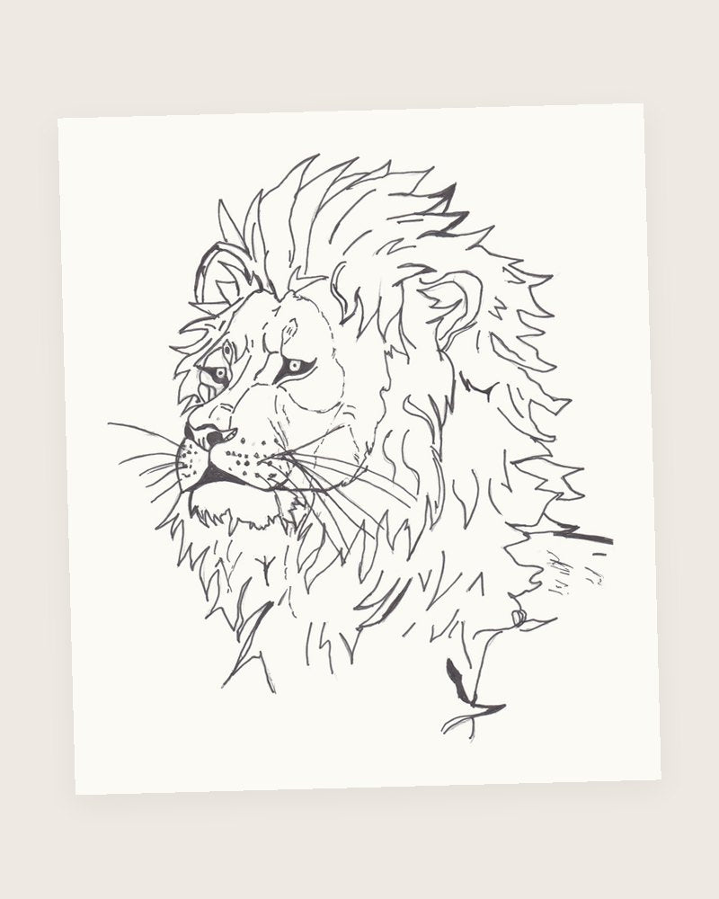 Lion Sketch, original drawing by Vihaan