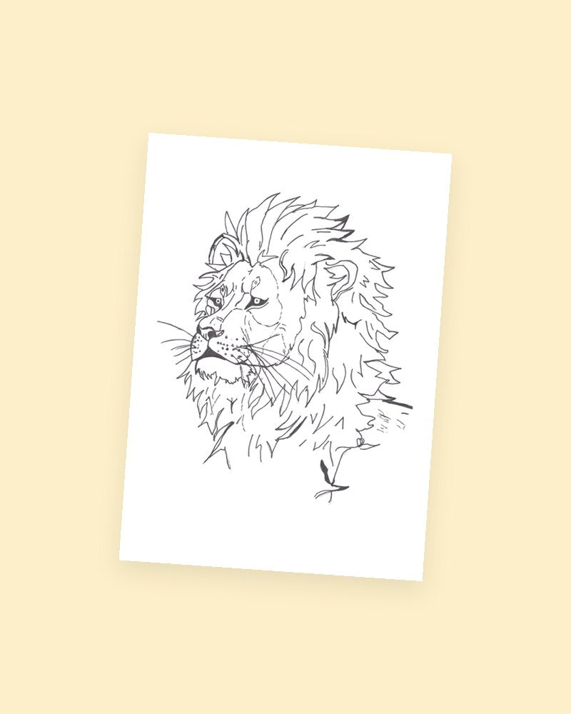 Lion Sketch postcard