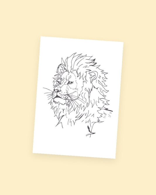 Lion Sketch postcard