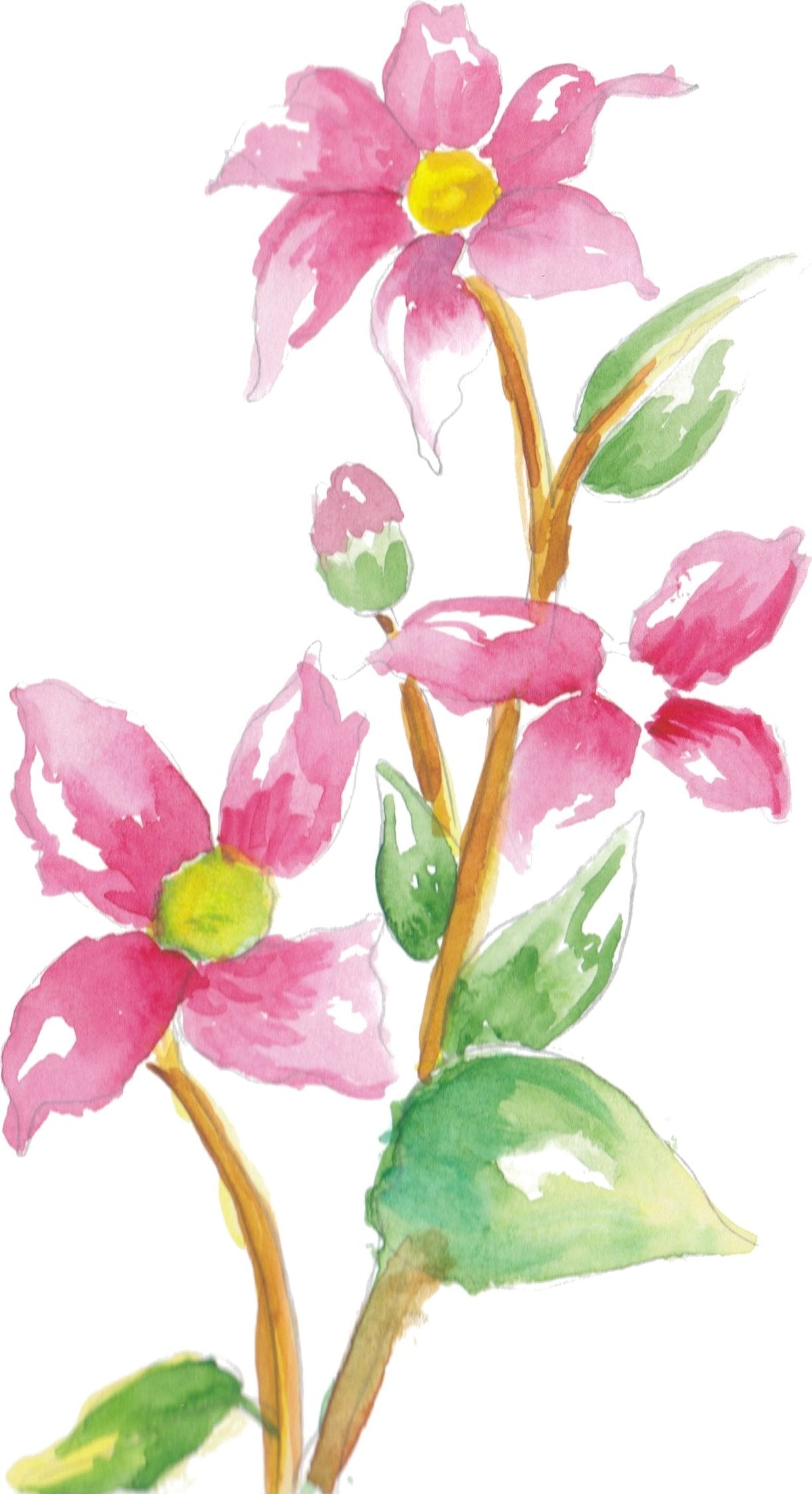 Pink Blossoms: A branch of pink blossoms with fresh green leaves.