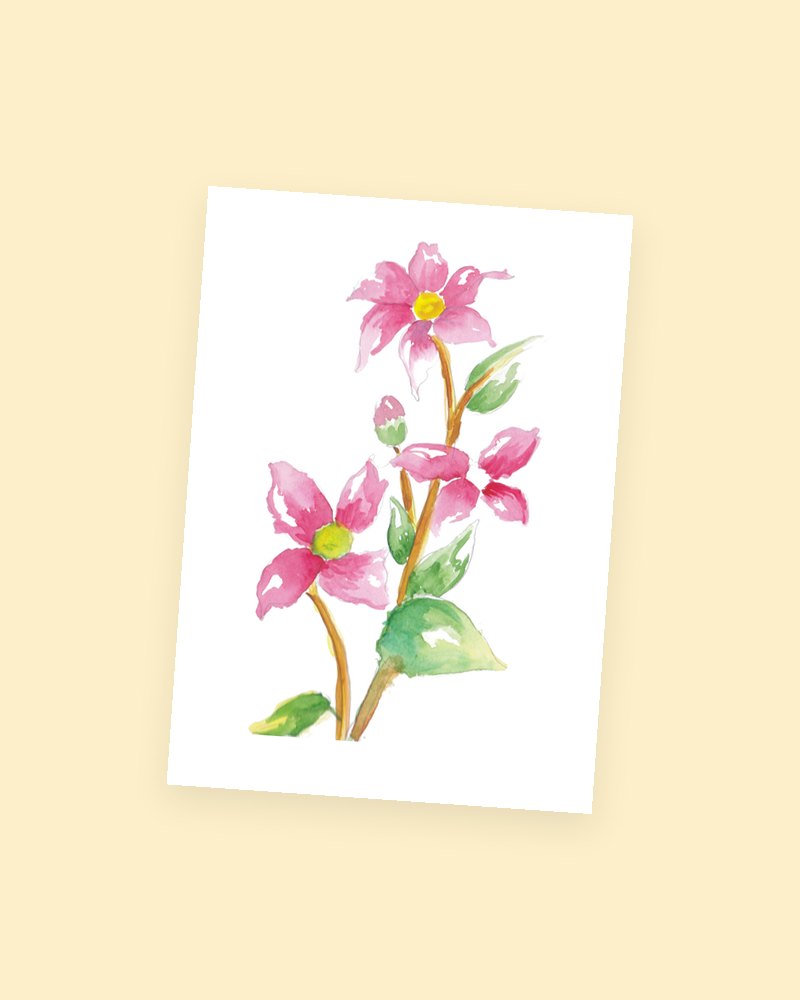 Pink Blossoms postcard