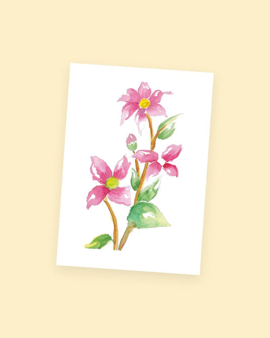 Pink Blossoms postcard