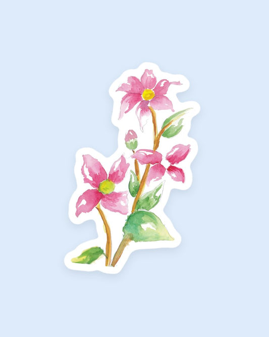 Pink Blossoms sticker