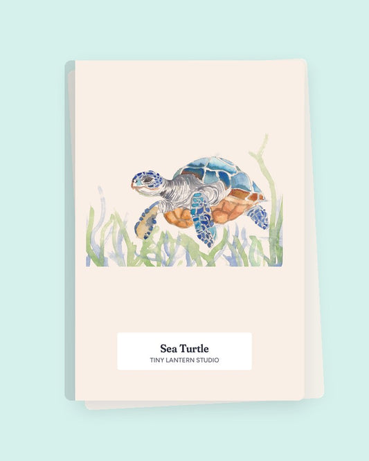 Sea Turtle notebook