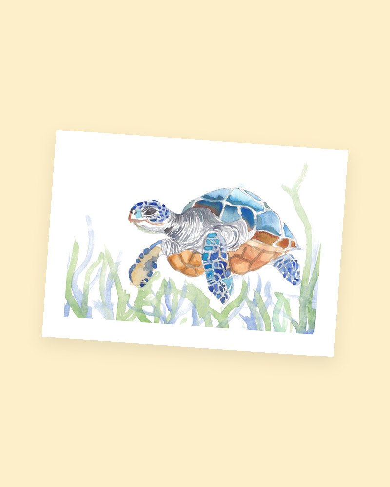 Sea Turtle postcard